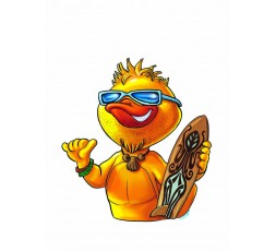 Illustration du jeu Duck