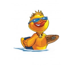 Illustration du jeu Duck