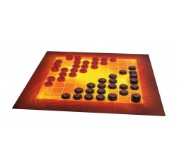 Le matériel du jeu de société Fenix