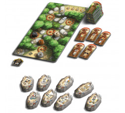Le matériel du jeu de société Runes Stones La Forêt Enchantée